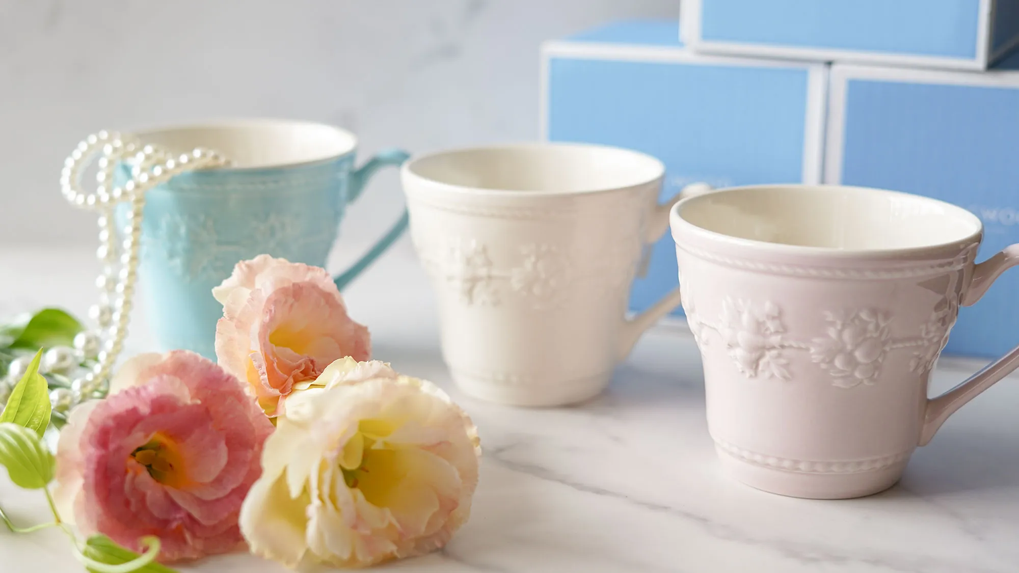 アミコセレクト画像