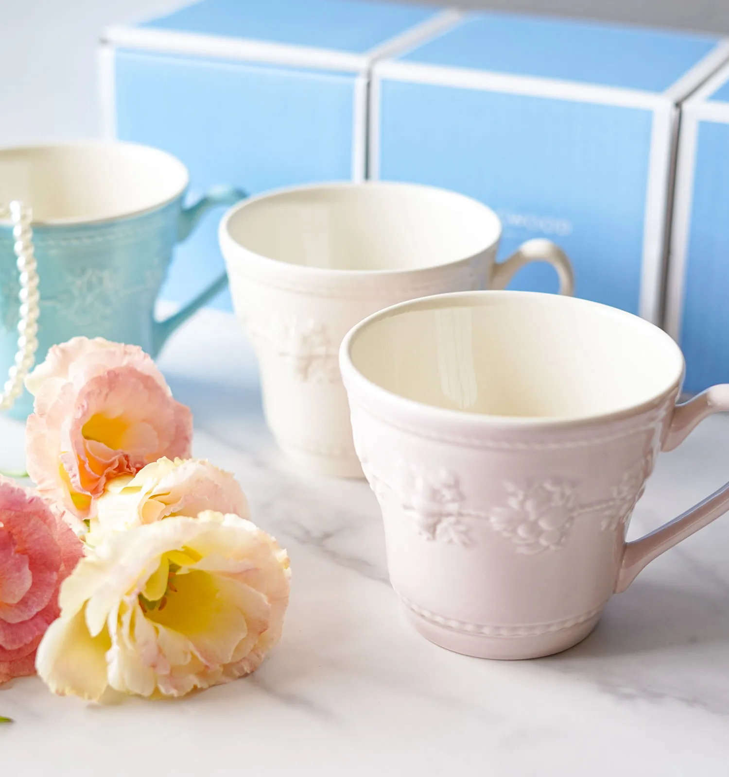 アミコセレクト画像