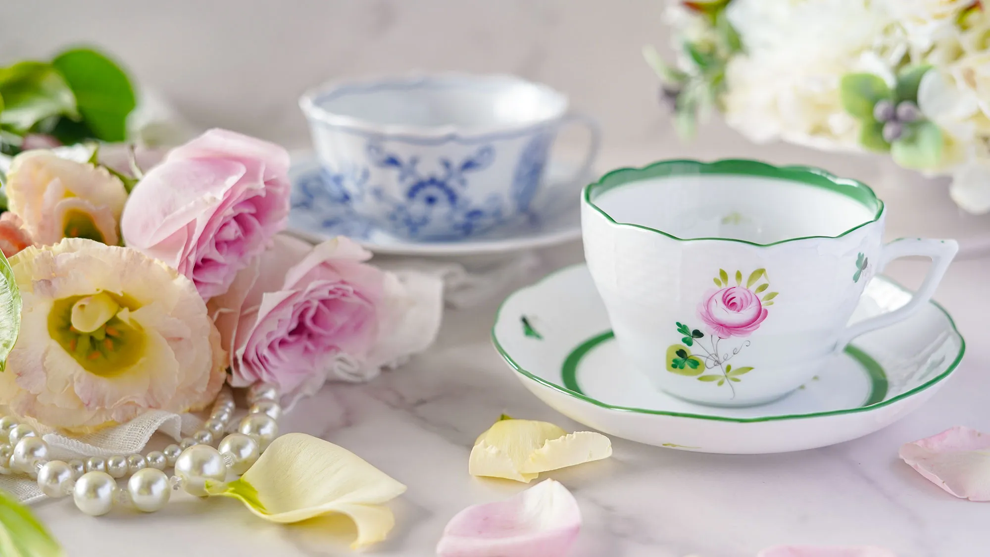 アミコセレクト画像