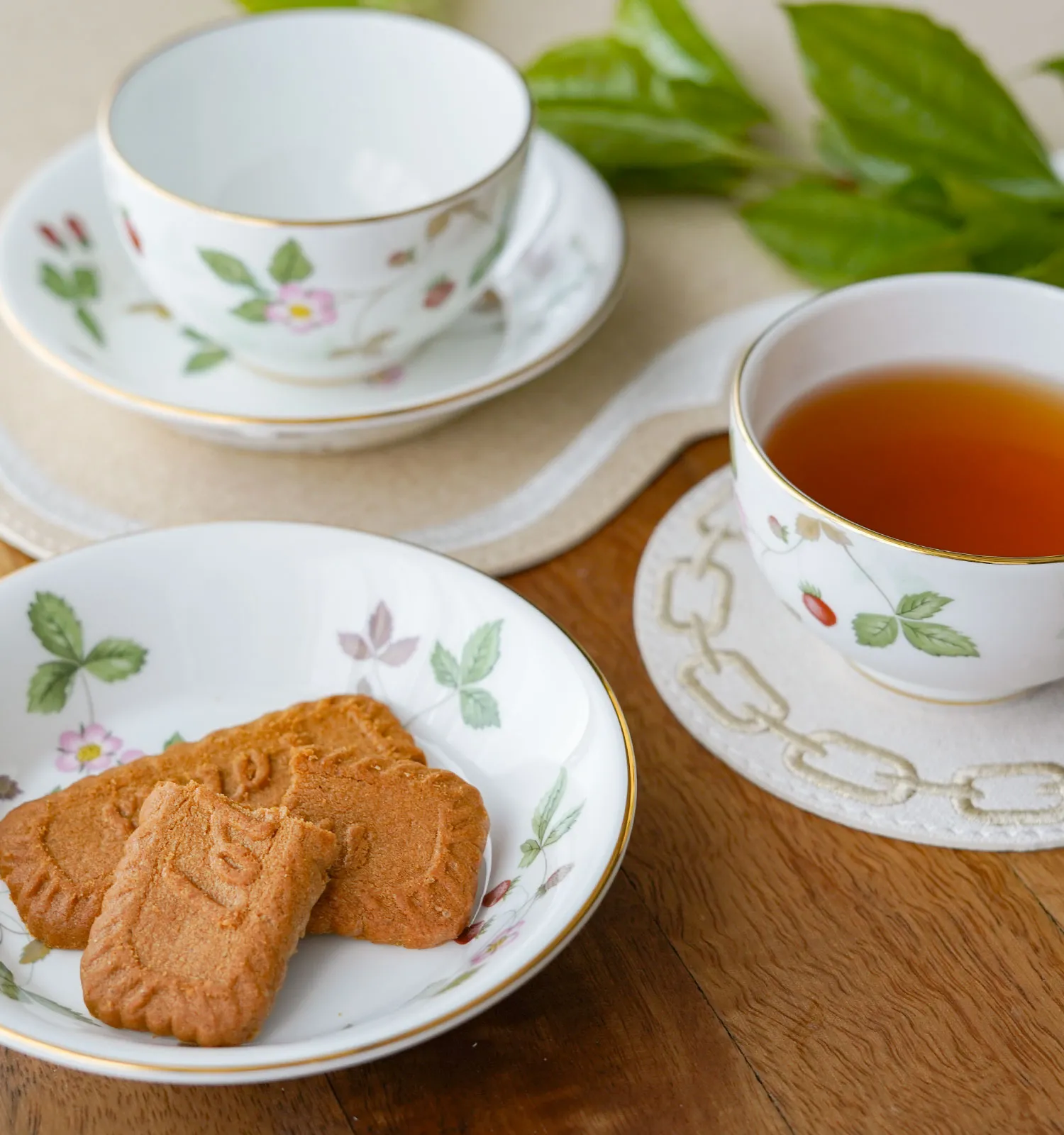 アミコセレクト画像