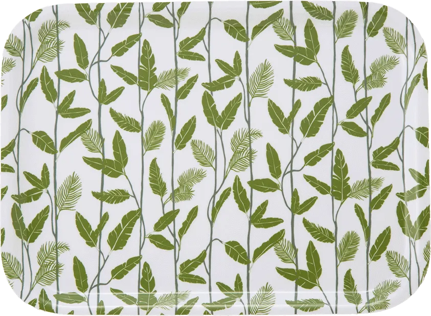 オーリー トレイ MOUGLIの画像