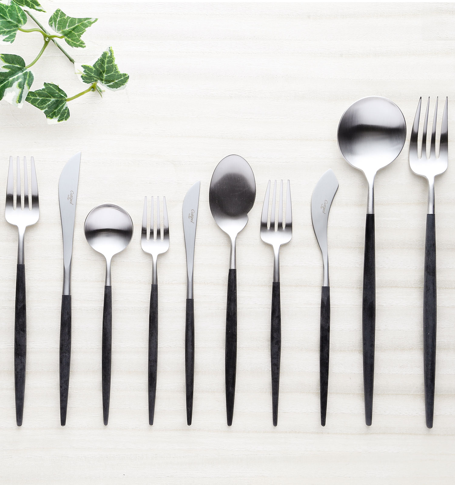 クチポールの画像