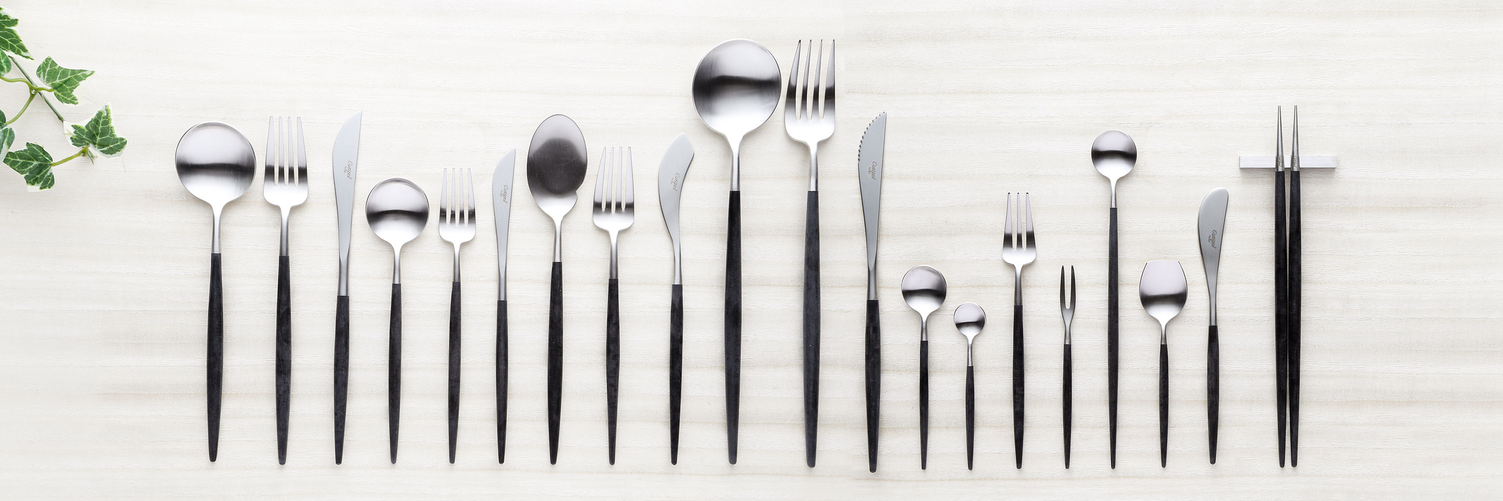 クチポールの画像