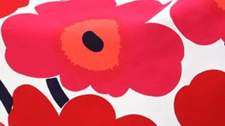 廃盤コレクション画像