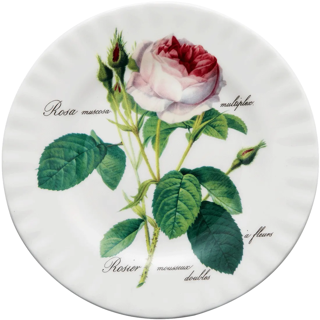 花柄特集の画像