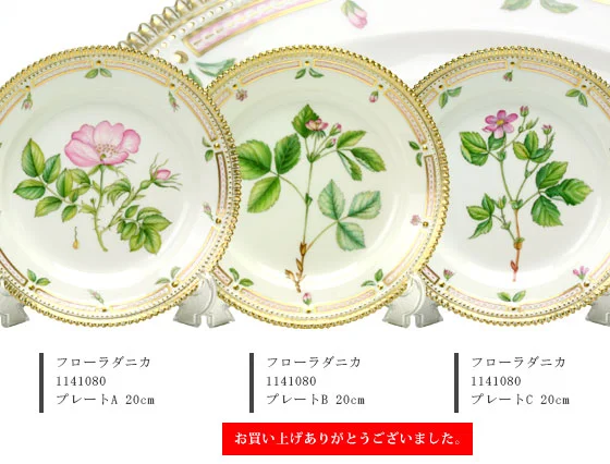 特集 その2 関連画像