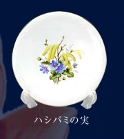特集 その3 関連画像
