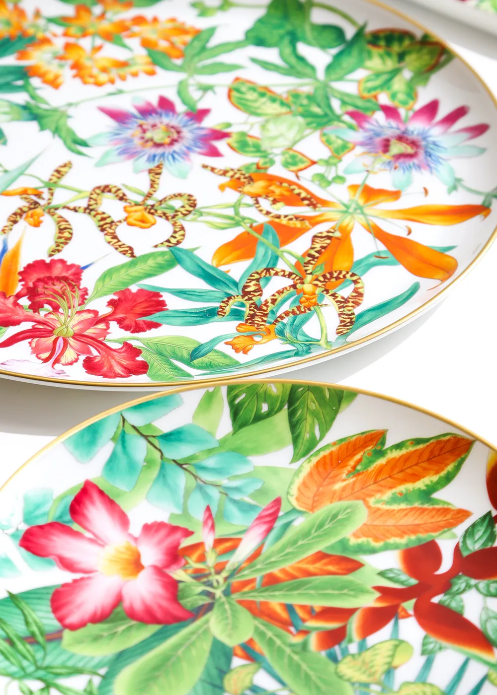 エルメス パシフォリアの画像