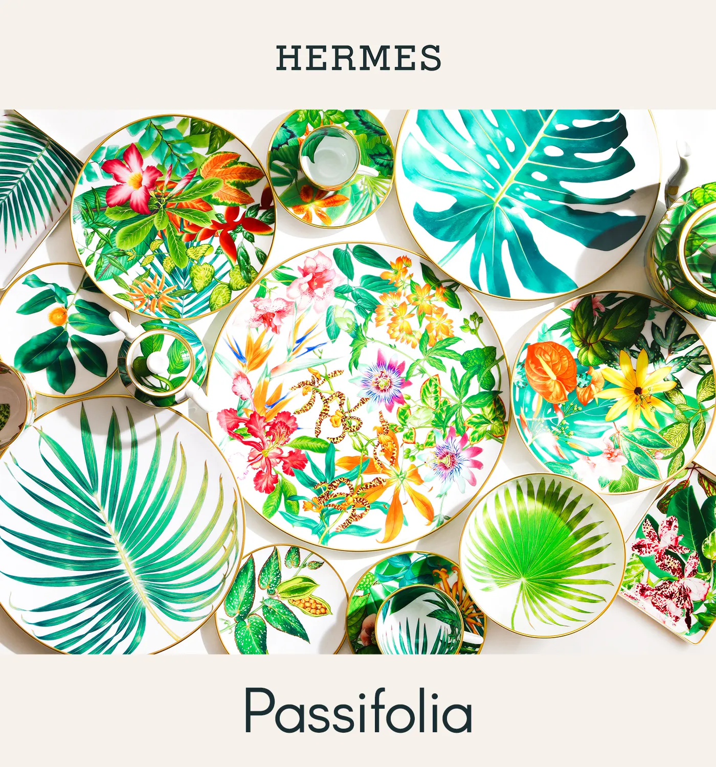 エルメス パシフォリア 花瓶 Celes (セレス) | Hermes – Rose Ikebana (エルメス − ローズ イケバナ)