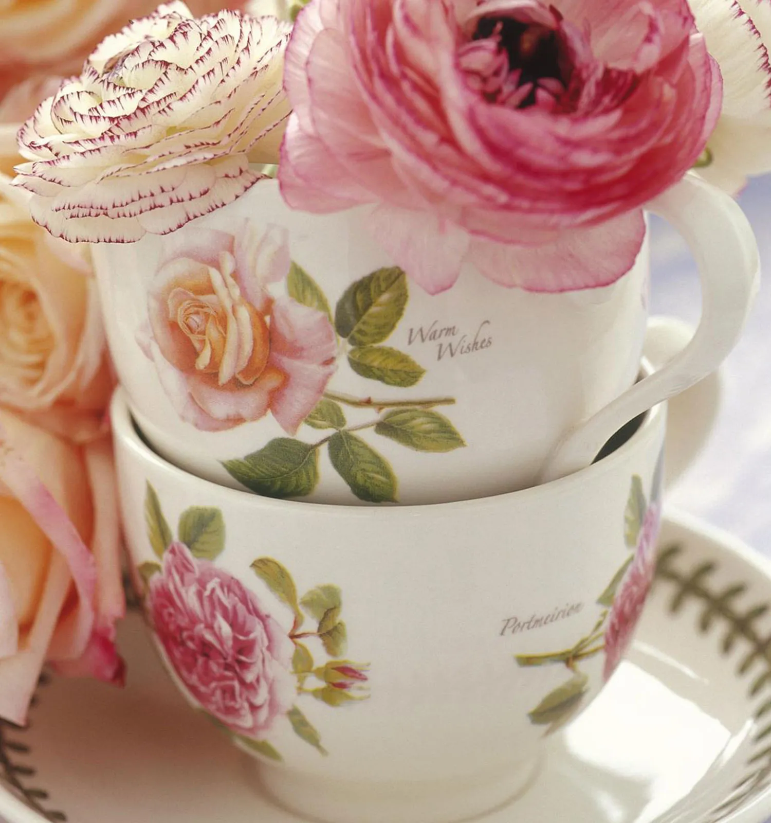 ポートメリオン画像