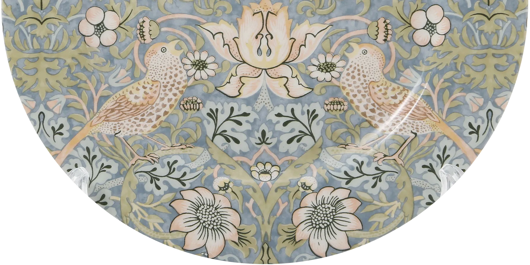 ピュアモリス画像