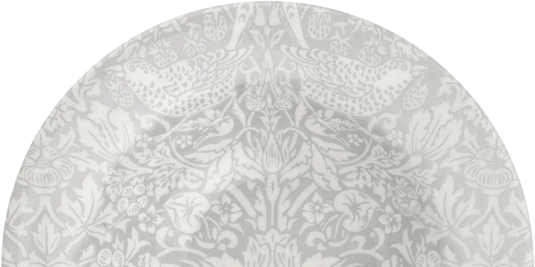 ピュアモリス画像