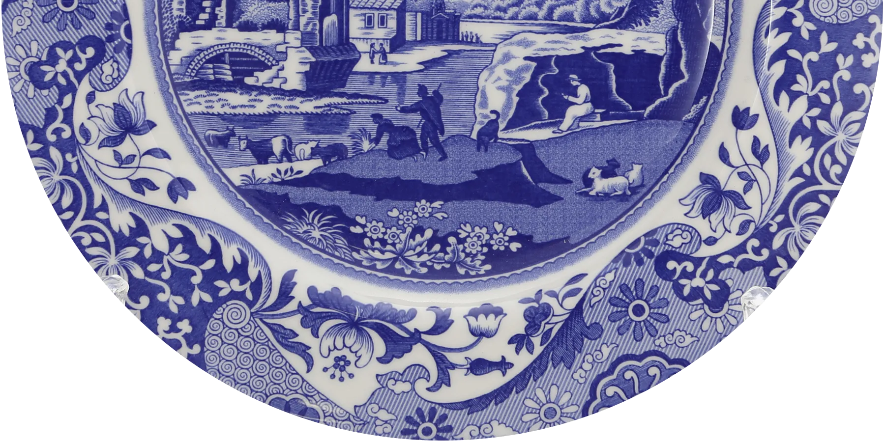 ピュアモリス画像