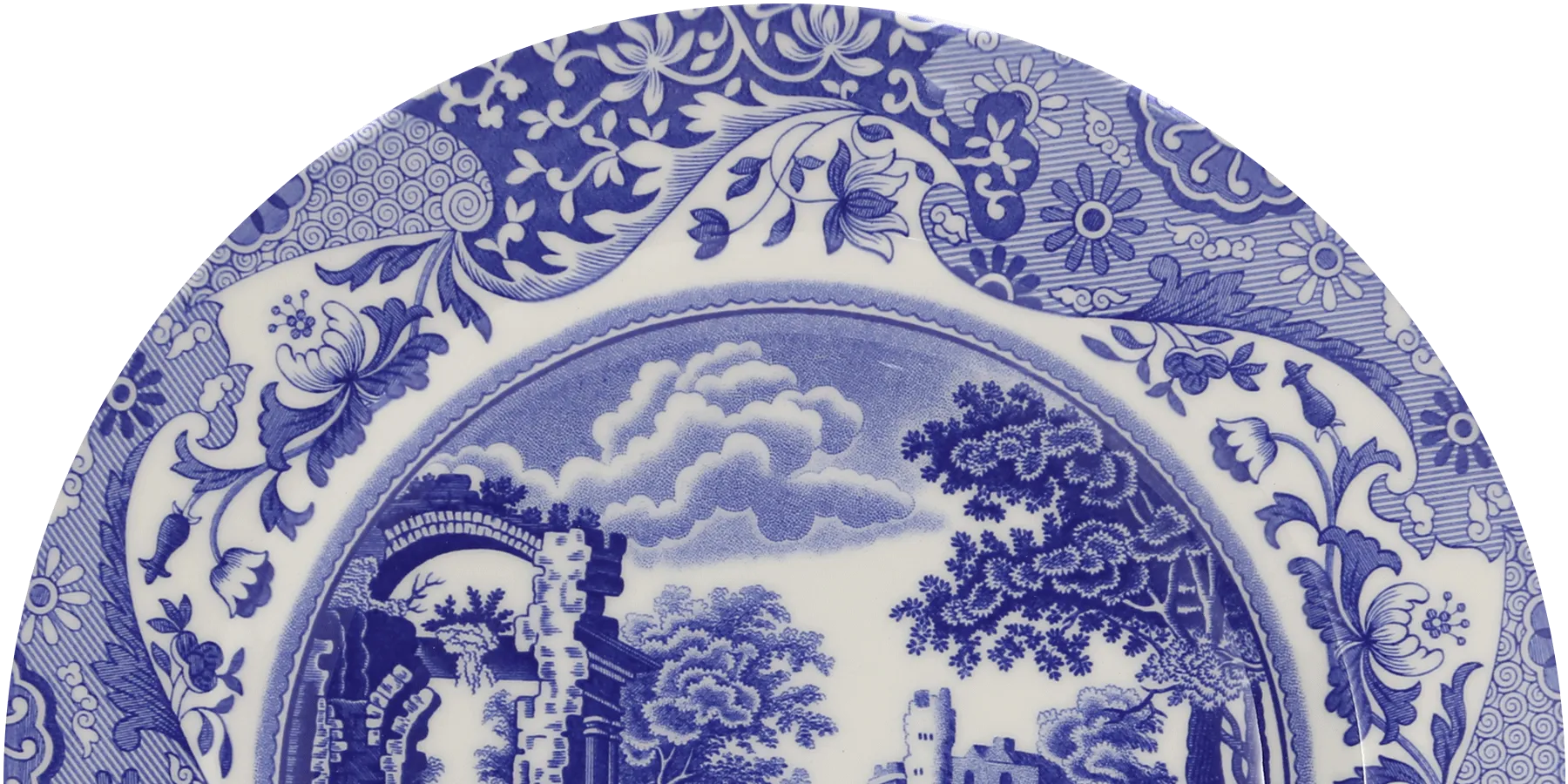 ピュアモリス画像