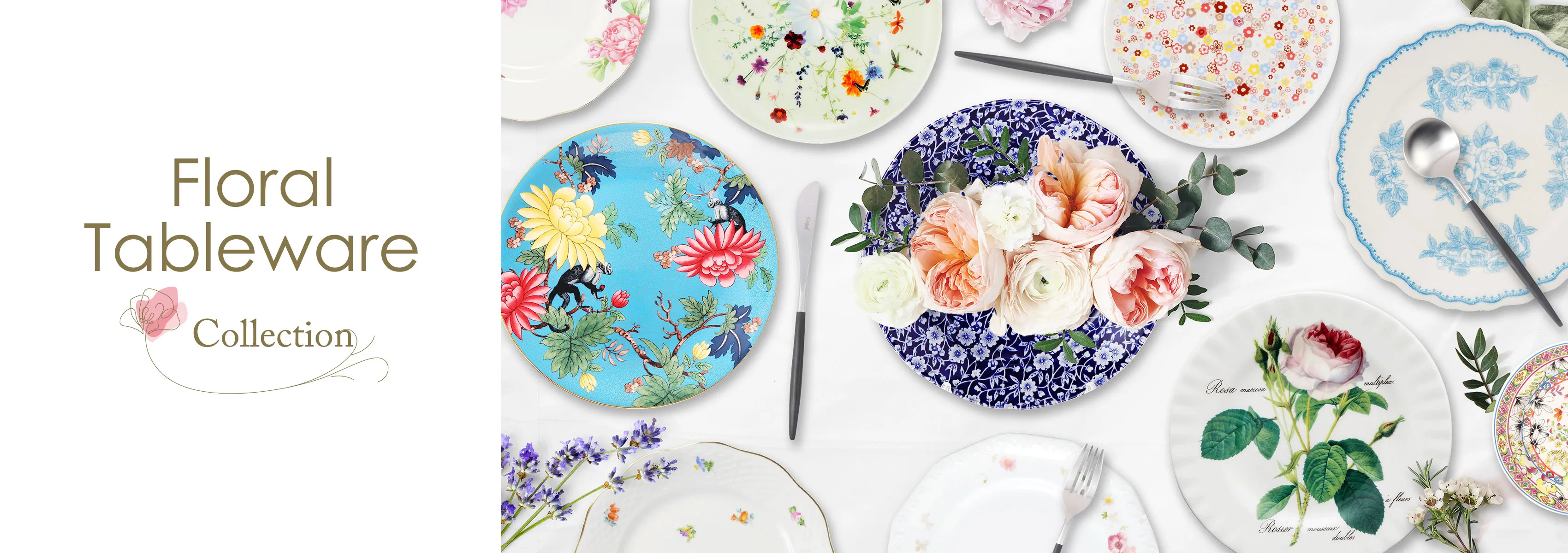 バラ特集の画像