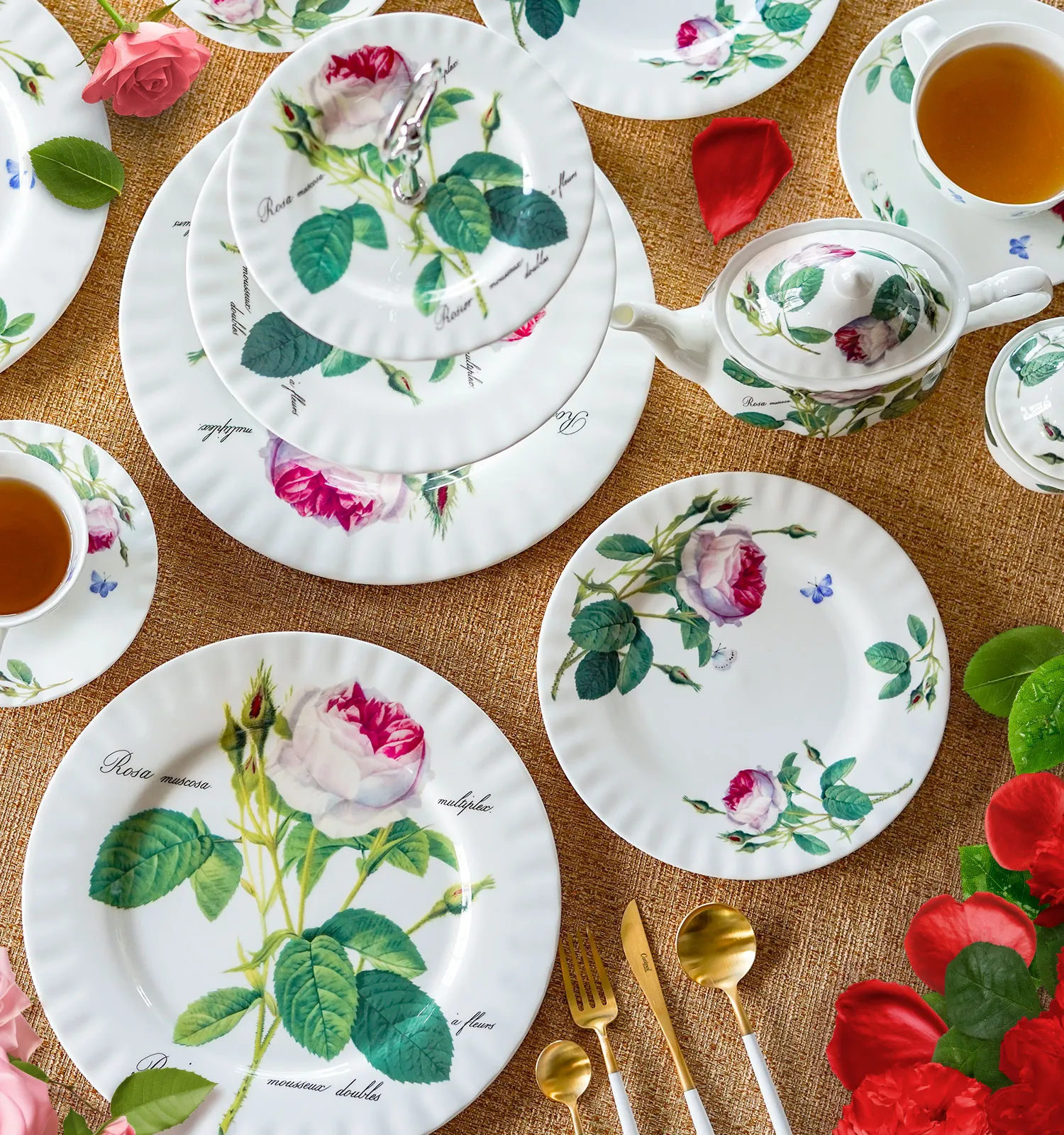 バラ特集の画像