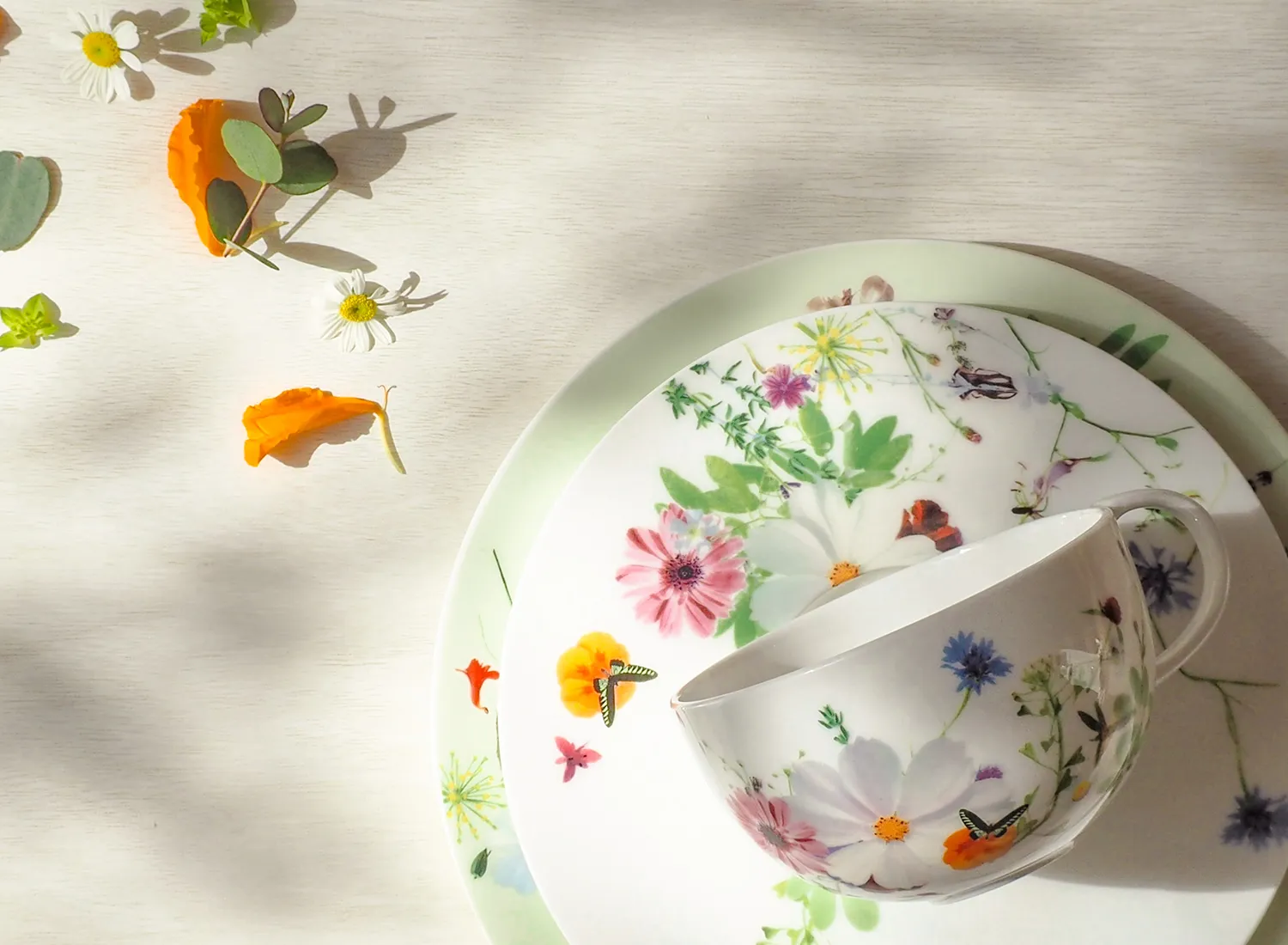 ローゼンタール画像