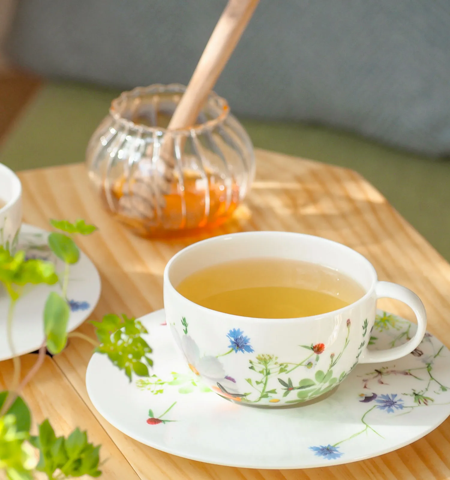 ローゼンタール画像