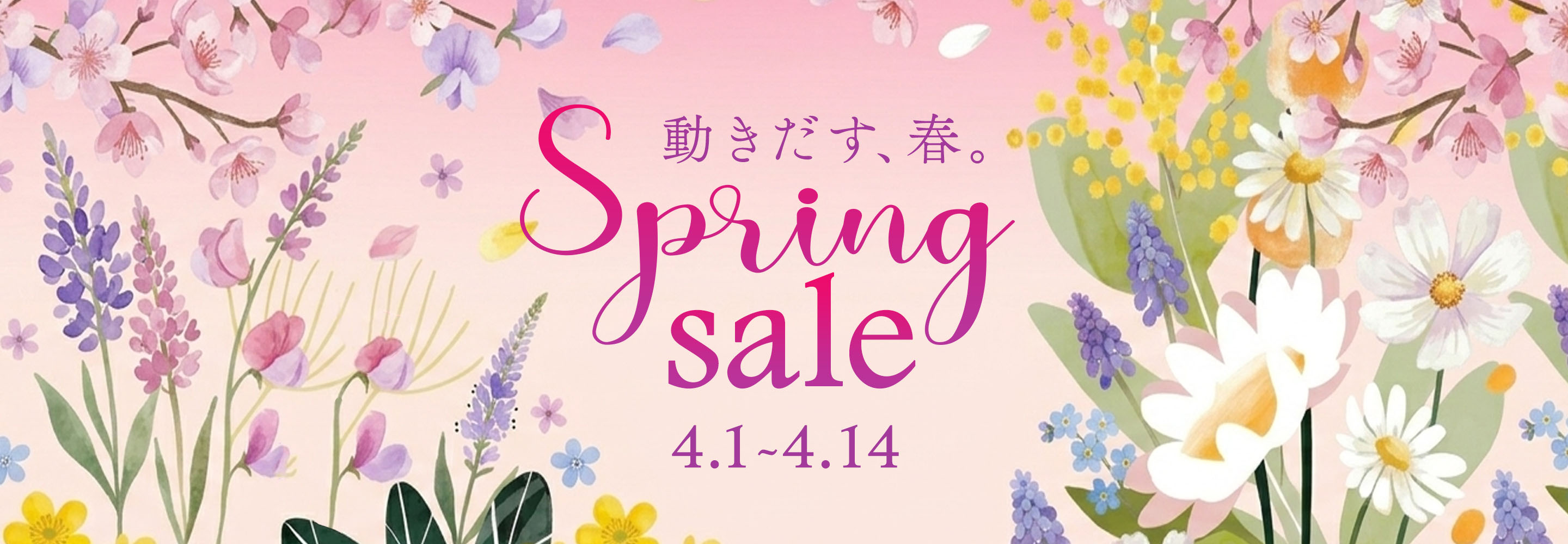 スプリングセール