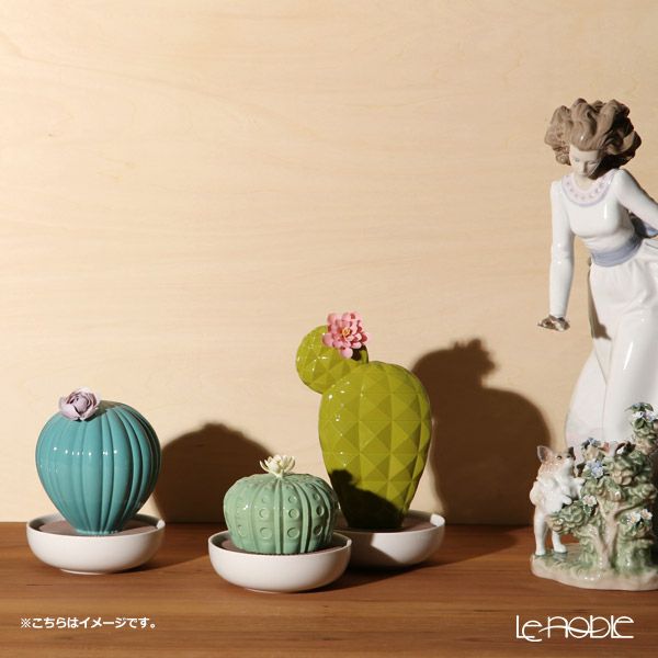 リヤドロ フェロカクタス‐ナイトアプローチ 40187（16×11cm）【リキッドディフューザーレフィル 1本付】