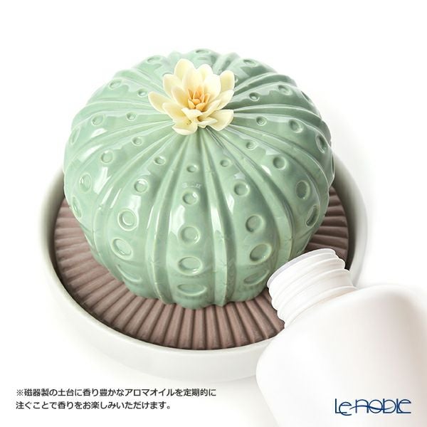 リヤドロ アストロフィツム-トロピカルブロッサム 40190（10×11cm）【リキッドディフューザーレフィル 1本付】