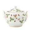 ウェッジウッド（Wedgwood） ワイルドストロベリー シュガーボックス（ティー） L 9cm