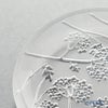 【メーカー取り寄せ商品】ラリック オンベル プレート 12cm 10139000