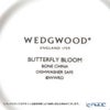 ウェッジウッド（Wedgwood） バタフライブルーム プレート 20cm 4色セット