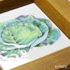 京七宝額（アートSHIPPO） ベジタブル キャベツ 額ナチュラル 16.8×16.8cm