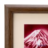 京七宝額（アートSHIPPO） 赤富士 額17×17cm オーク※額縁のデザインや色が入荷時期により多少異なる場合があります。※