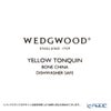 ウェッジウッド（Wedgwood） ワンダーラスト イエロートンキン プレート 20cm