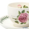 ポートメリオン ボタニックローズ ティーカップ＆ソーサー 200ml ポートメリオン