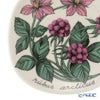 【1点限り】北欧ヴィンテージ アラビア（ARABIA） ボタニカ（チシマイチゴ）／Botanica ウォールプレート