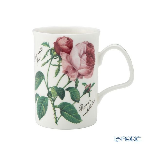 ロイカーカム ルドゥトロサ／ルドゥーテ・ローズ ピンク ビーカー 320ml