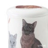 ロイカーカム キャットギャロール European Burmese（バーミーズ） こし器付ビーカー 320ml