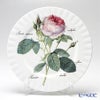 ロイカーカム ルドゥトロサ／ルドゥーテ・ローズ ディナープレート 27cm