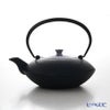 京焼・清水焼 鉄瓶急須 T0100 染付桜詰 大 900ml