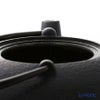 京焼・清水焼 鉄瓶急須 T0100 染付桜詰 大 900ml