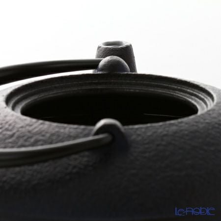 京焼・清水焼 鉄瓶急須 T0103 染付紅葉詰 小 410ml