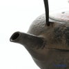 京焼・清水焼 鉄瓶急須・黒 K0108 彩雲錦詰 500ml