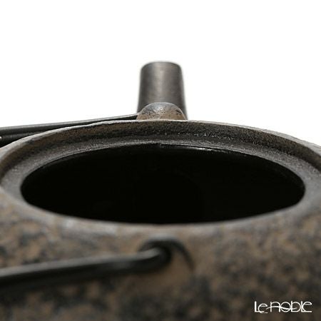 京焼・清水焼 鉄瓶急須・黒 K0111 彩赤絵 500ml