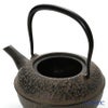京焼・清水焼 鉄瓶急須・黒 K0111 彩赤絵 500ml