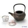 京焼・清水焼 鉄瓶急須・黒 K0111 彩赤絵 500ml