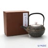 京焼・清水焼 鉄瓶急須・黒 K0111 彩赤絵 500ml