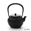 京焼・清水焼 鉄瓶急須 M0175 鉄絵菊花紋 800ml