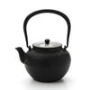 京焼・清水焼 鉄瓶急須 M0175 鉄絵菊花紋 800ml