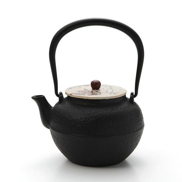 京焼・清水焼 鉄瓶急須 M0178 彩南天 800ml