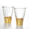 箔一 貫入 タンブラー 2個セット A061-03002