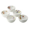 ナルミ ルーシーガーデン プチボウル 11cm 5点セット アソート5柄 96010-21902P