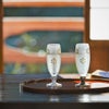 石塚硝子 プレミアムニッポンテイスト みぞれ九谷 白粒鉄仙 ショートステムグラス 125ml 木箱入 9417